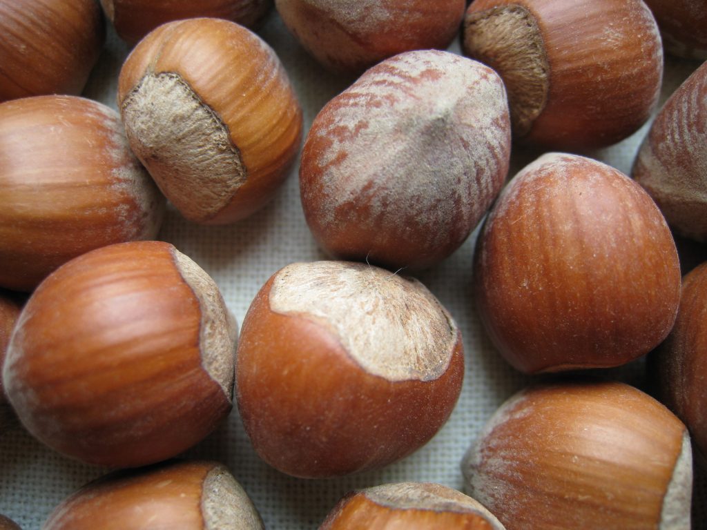 Scarica la tabella