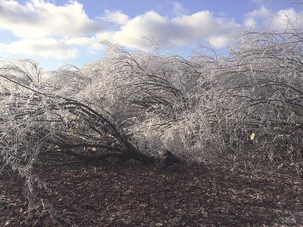 ice-storm-1-oregon