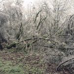 ice-storm-oregon-2016