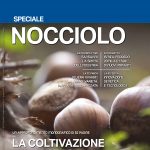 cover_speciale_nocciolo_2016