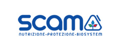 logo-SCAM-2019_234x100