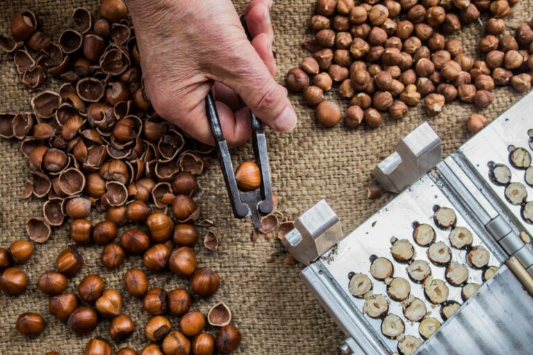 Nocciola Piemonte Igp Qualità