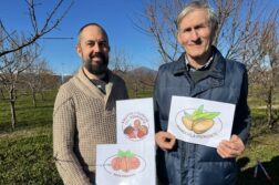 Consorzio di Tutela e Valorizzazione della Frutta a Guscio del Piemonte
