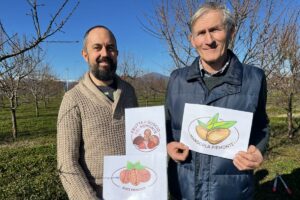 Consorzio di Tutela e Valorizzazione della Frutta a Guscio del Piemonte