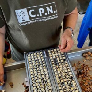 controllo qualità nocciole CPN