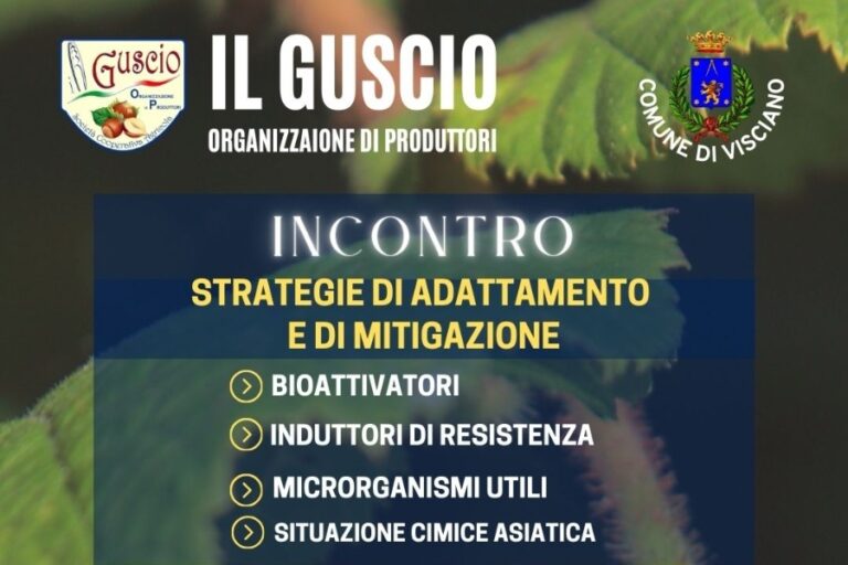 Incontro nocciolo Op Il Guscio