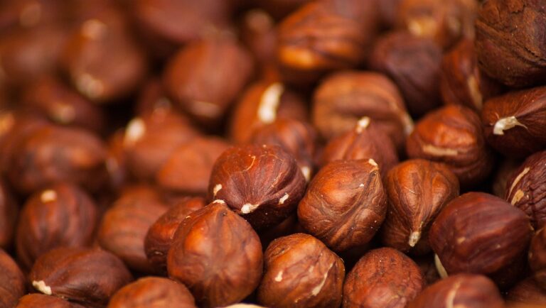 pellicola di nocciola tostata