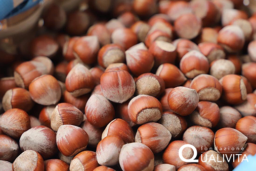 Nocciole estere - Nocciola turca Dop