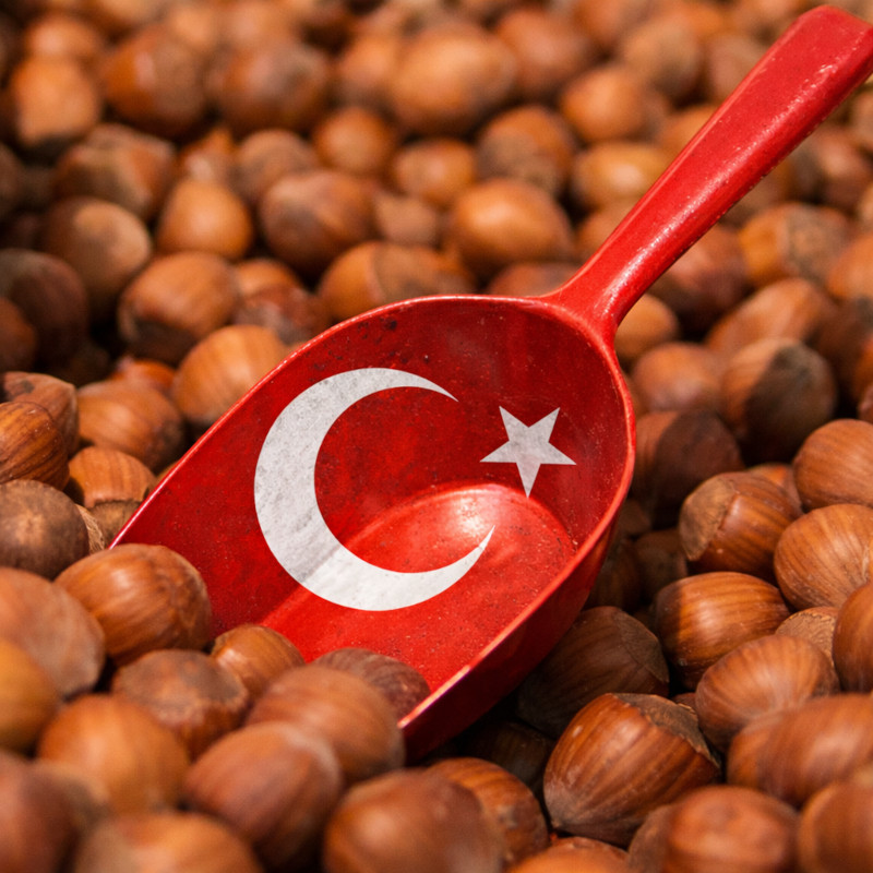 Prezzi delle nocciole turche. Aggiornamento del 07-02-2026