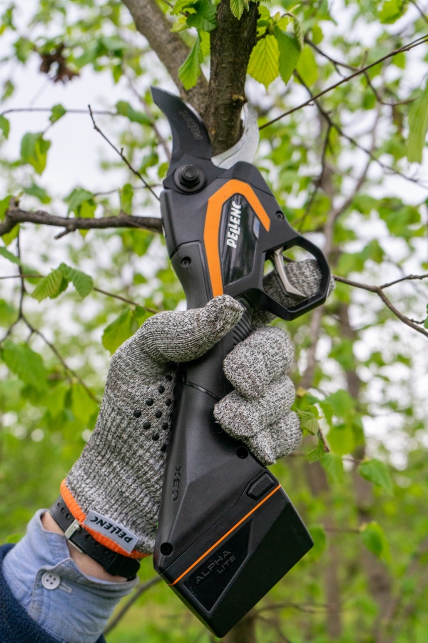 Potatura nocciolo pellenc impugnatura forbice