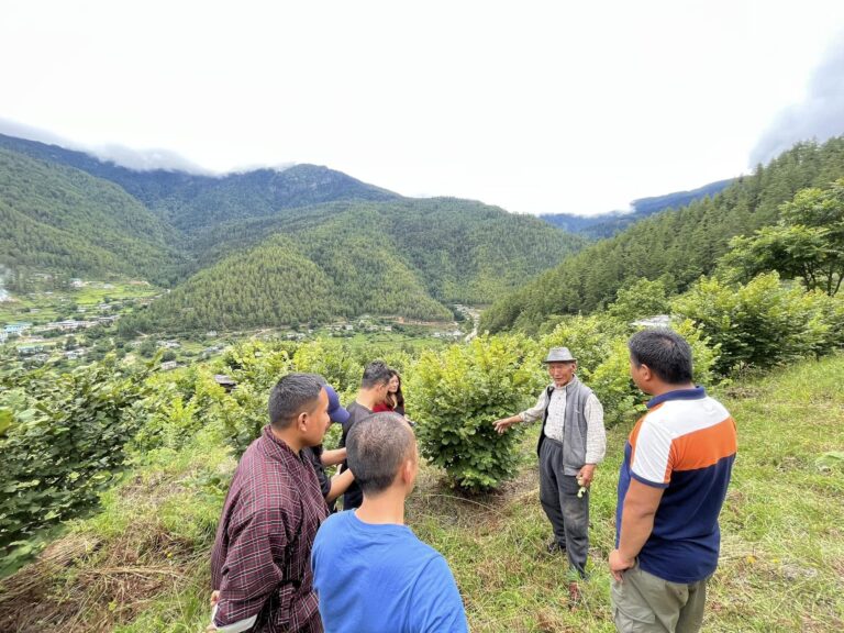 Nocciole in Bhutan