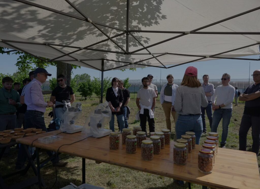 Hazelnut Agronomy Program: la seconda edizione della scuola italiana dedicata al nocciolo